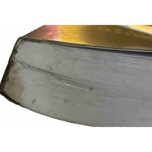 Literature and Medicine A Practical and Pedagogical Guide Book Ronald Schleifer - Picture 6 of 6